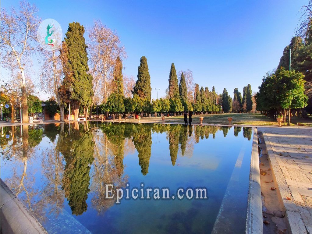 the picture of many trees reflected in water in the yard of afif abad garden in shiraz