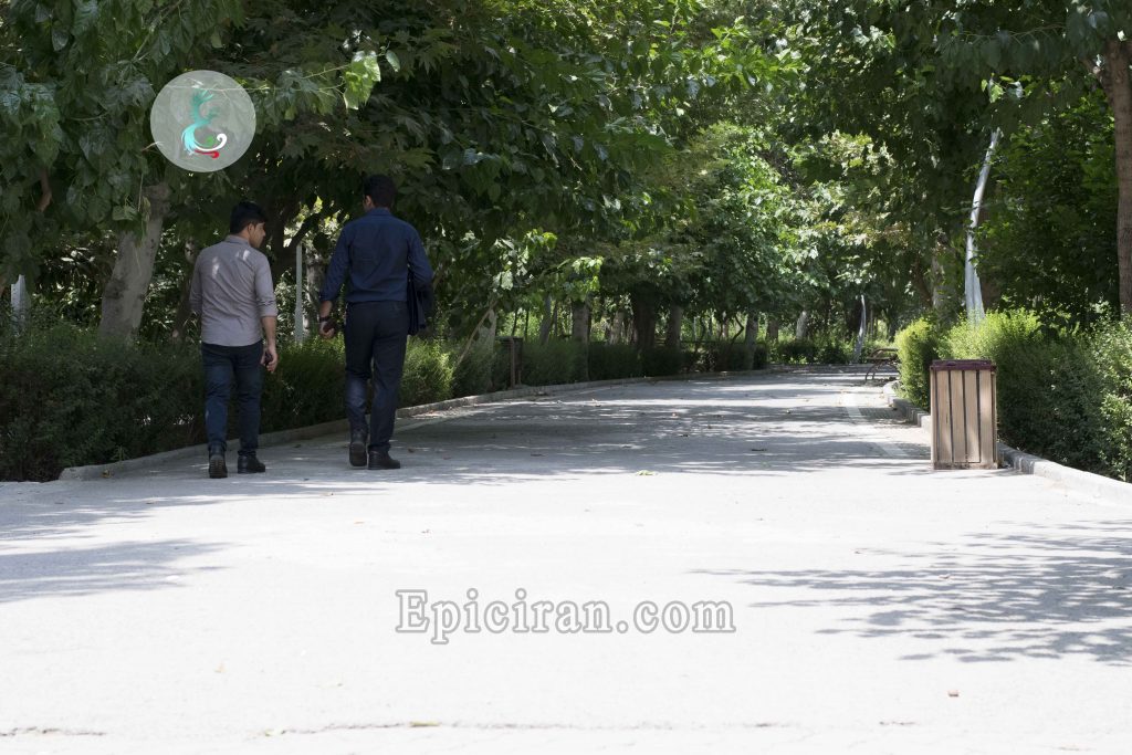 a sidewalk surrounded by trees in laleh park tehran
