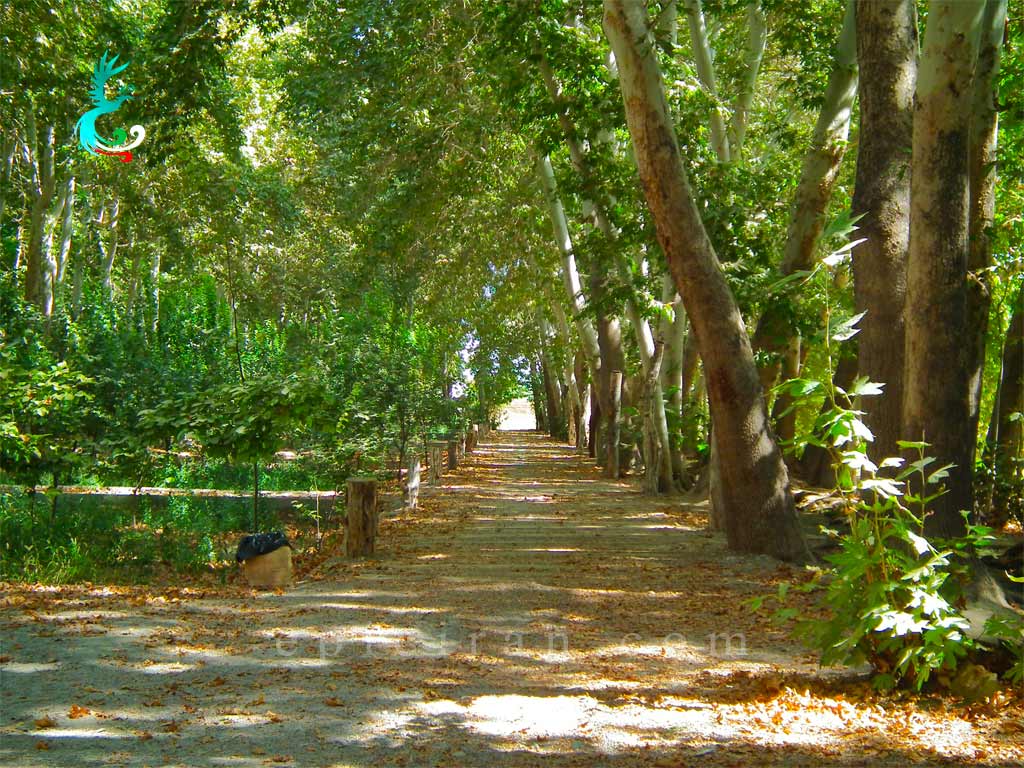 long sidewalk in Pahlavanpur garden in mehriz