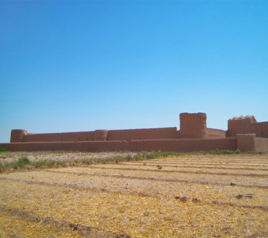 Mehrpadin Castle in Mehriz