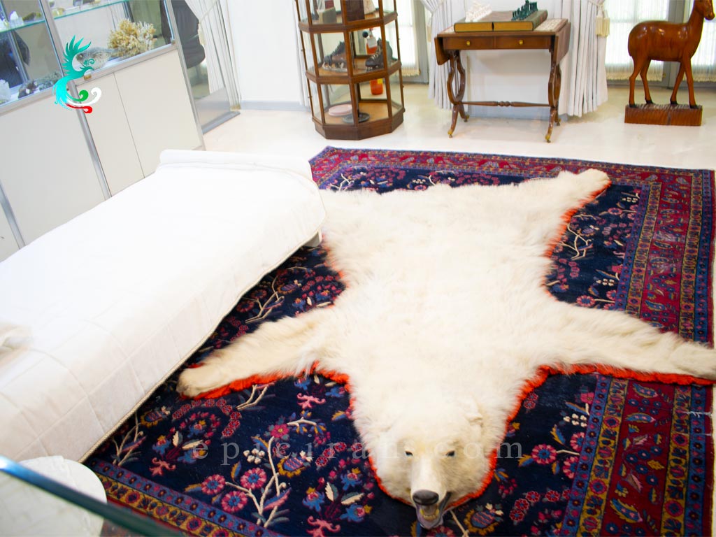 a polar bear skin on the floor in niavaran palace in tehran